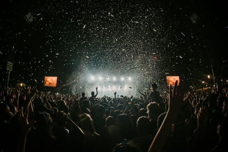 Publiek bij een festival